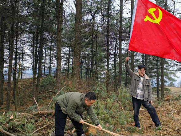 春回大地，植树添绿正当时！青山苗族乡如何以实际行动践行绿色发展理念？  第4张