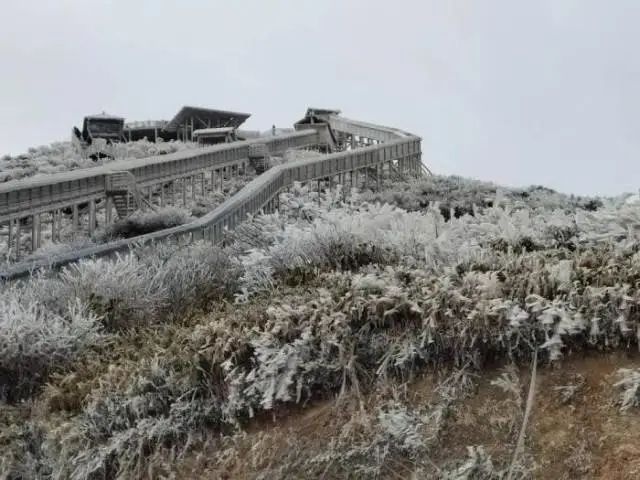 谁说广东不下雪？看粤北雾凇冰挂惊艳亮相  第3张