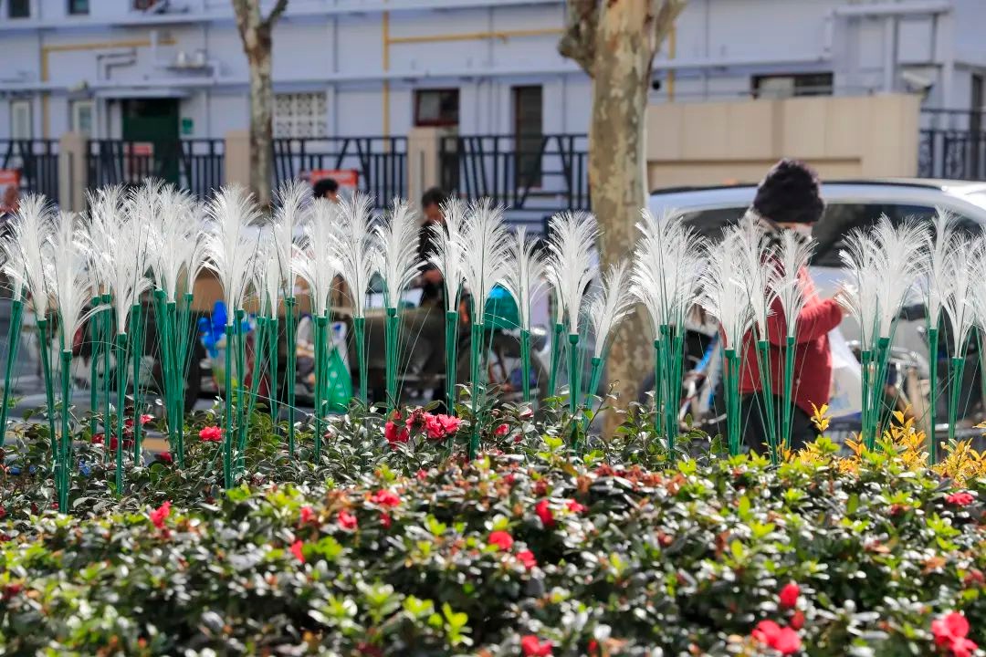 五里桥街道瞿溪路东段大变样！闻香花园成亮点，你打卡了吗？  第12张