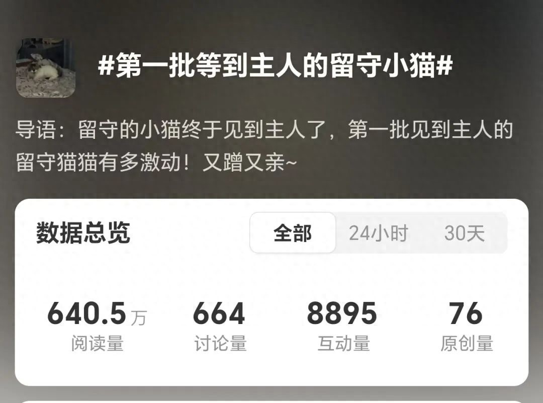 广州大学生春节靠喂猫赚1万？揭秘上门喂猫背后的辛酸与责任  第1张