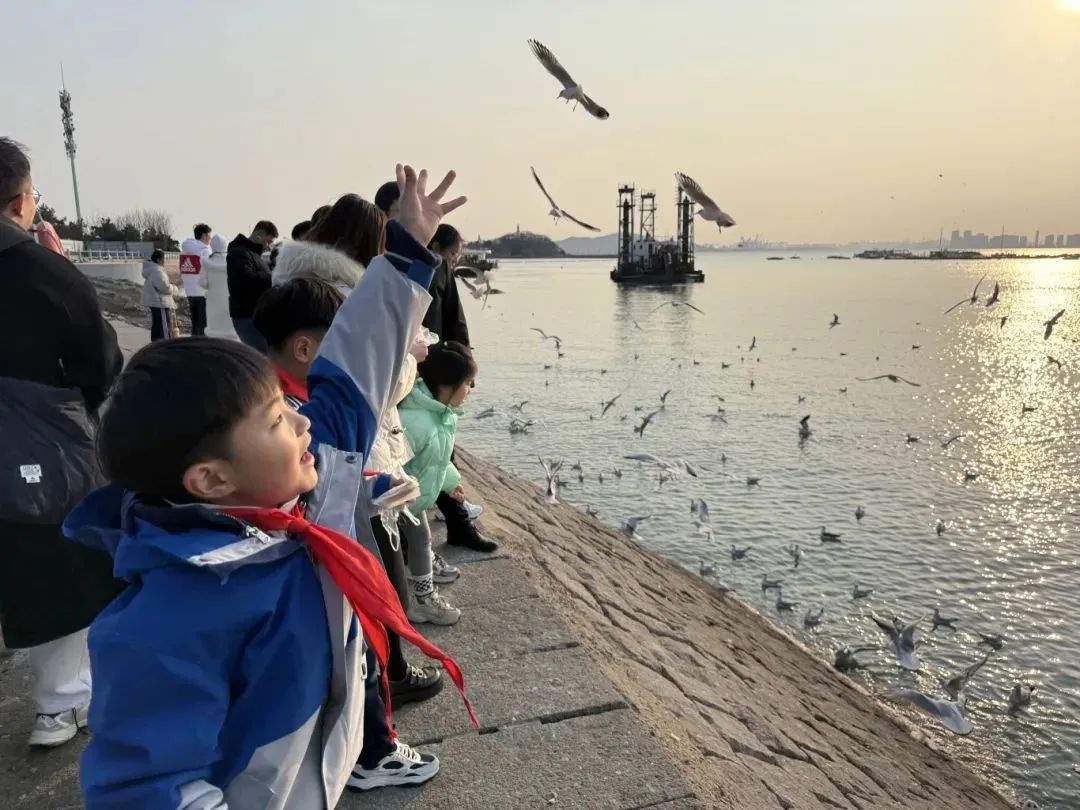寒假新潮流，青岛学子如何用行动守护海鸥与湿地？  第2张