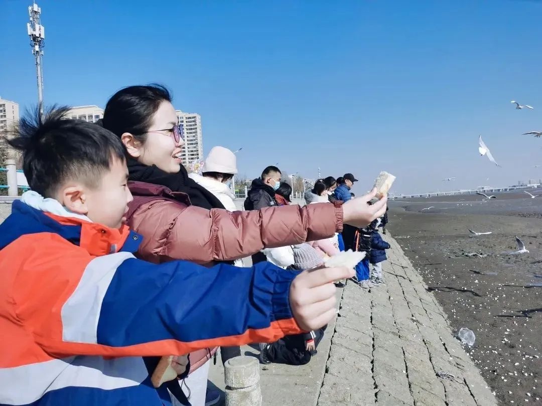 寒假新潮流，青岛学子如何用行动守护海鸥与湿地？  第3张