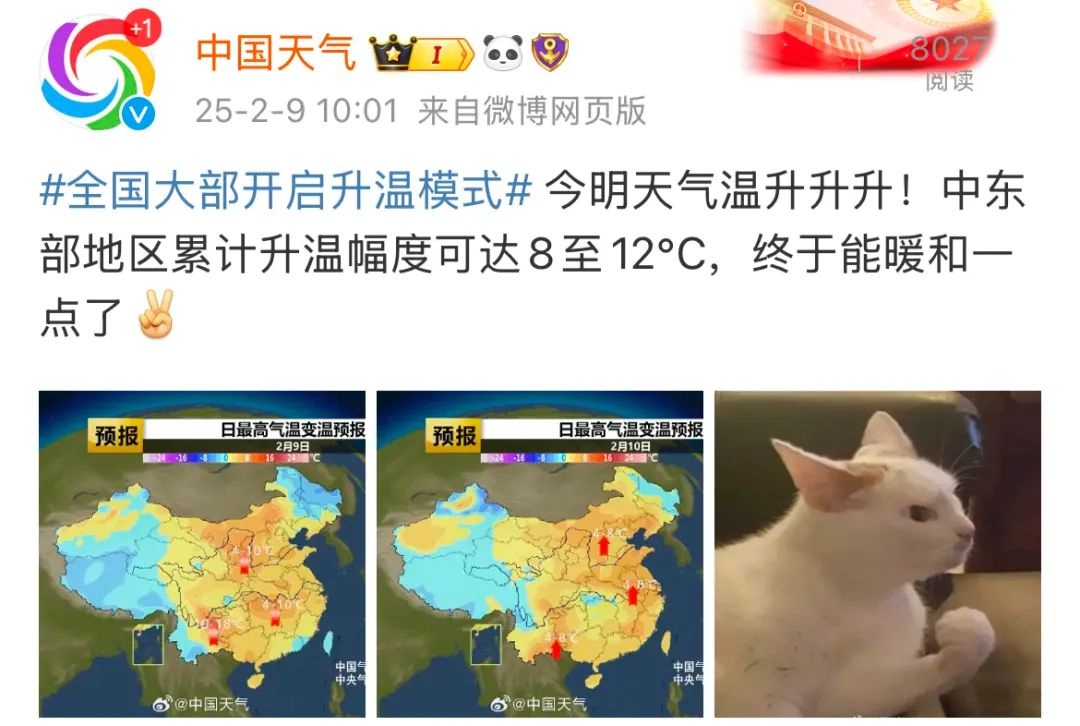 杭州今冬最冷天，-3.5℃头皮发麻！回暖在即，但坏消息紧随其后，你准备好了吗？  第4张
