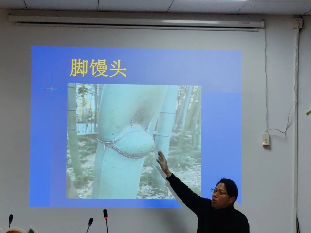 孩子们在方言班中发现了什么秘密？奉贤方言的奇妙世界等你来探索  第2张