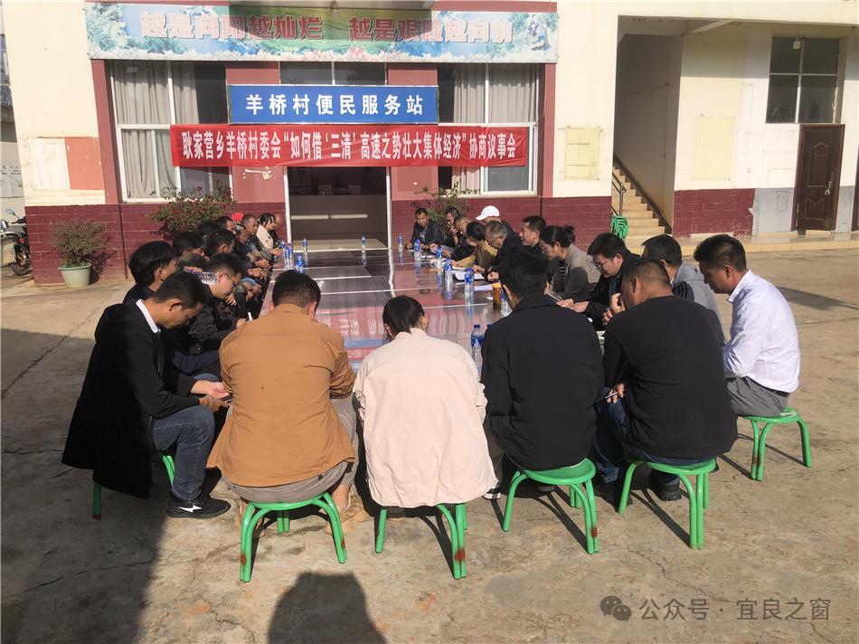 赵庆松：从诚信企业家到乡村振兴青年先锋，他如何一步步成为民营经济领军人物？  第4张