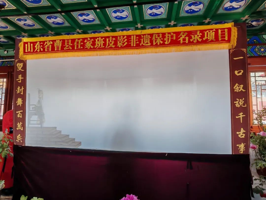 春节赏牡丹？菏泽曹州牡丹园用科技让花开提前，1000余株牡丹惊艳绽放  第5张