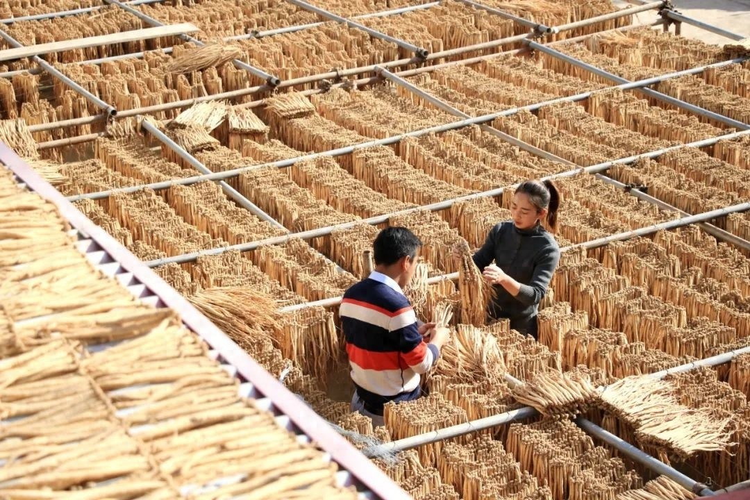 岷县庭院经济如何助力乡村振兴？揭秘农家小院变身增收园的秘诀  第1张