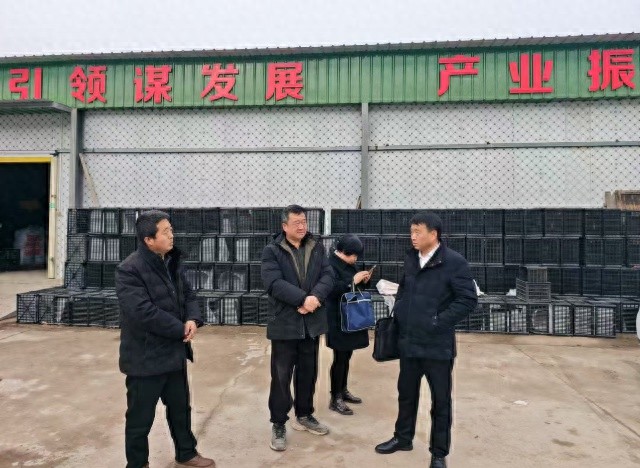 科技服务团深入企业，你的公司是否也享受到了这些贴心高效的服务？