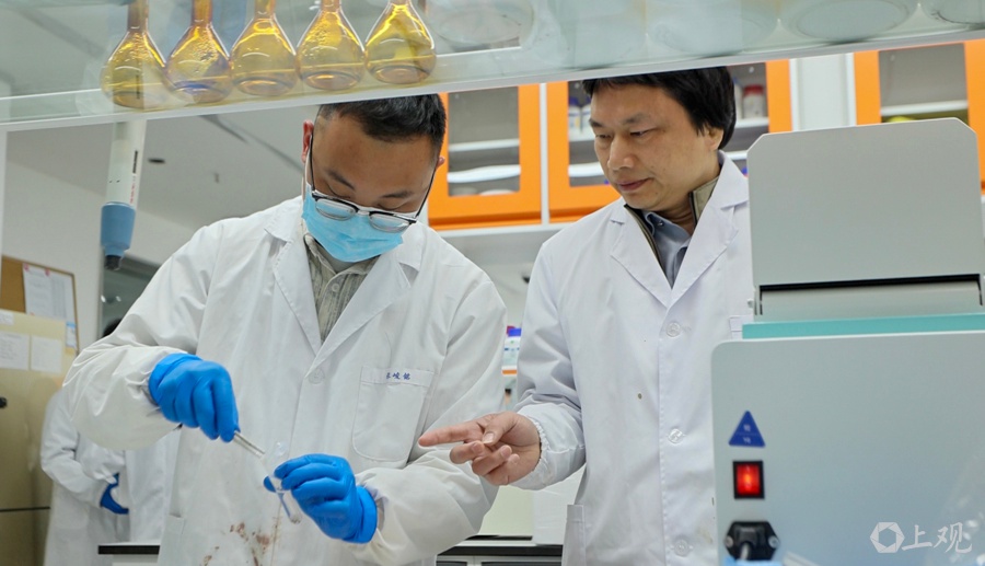 2025年给鱼吊水去腥味？上海海洋大学团队有妙法!  第2张