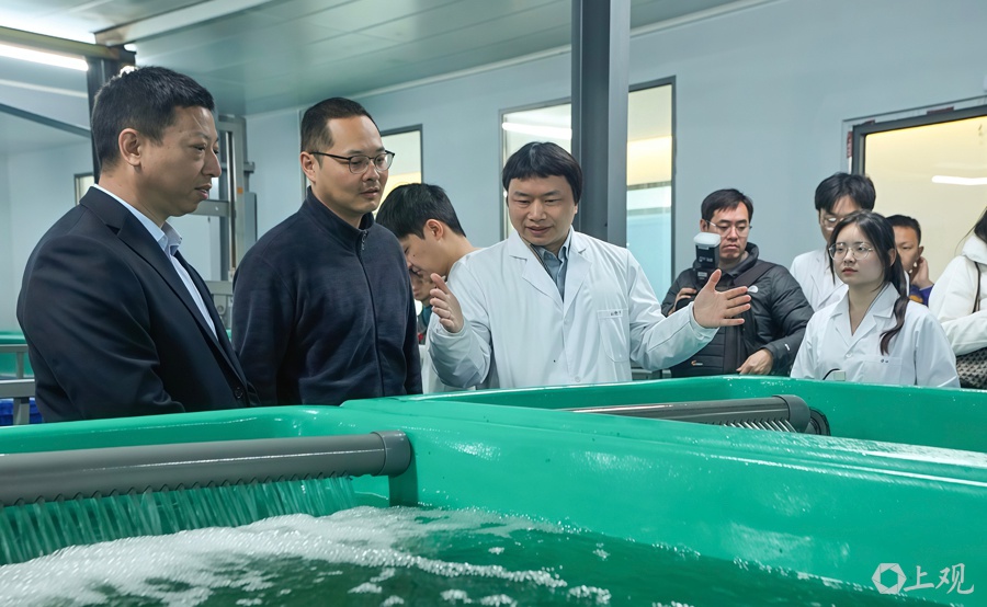 2025年给鱼吊水去腥味？上海海洋大学团队有妙法!  第5张
