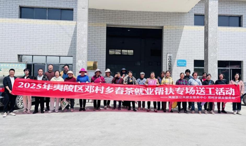 大批采茶工短缺？看夷陵人社如何巧妙化解  第3张