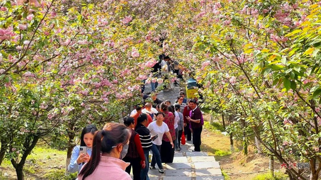 清明假期萍乡杨岐山景区游客激增244.62%?绝美风光和文旅服务究竟有何魔力!
