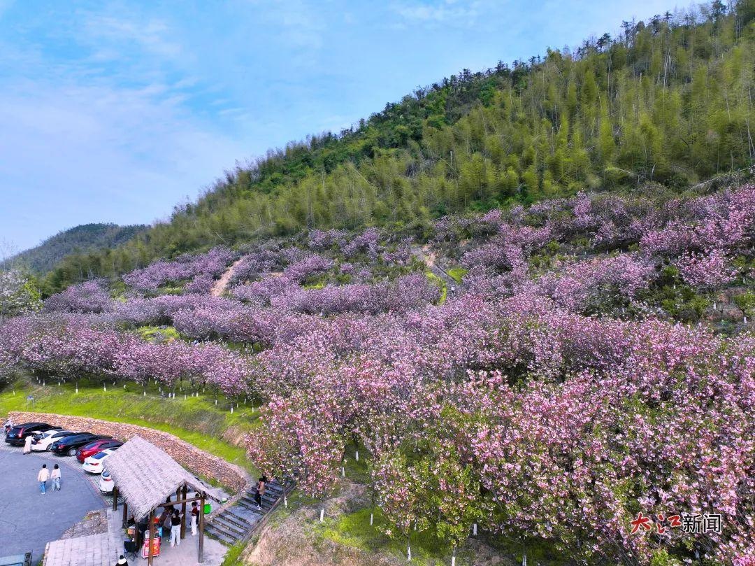 清明假期萍乡杨岐山景区游客激增244.62%?绝美风光和文旅服务究竟有何魔力!  第3张