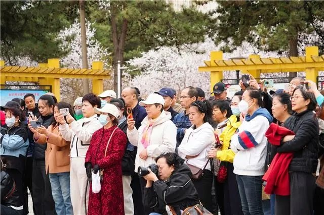 惊爆！公主府公园桃花盛花期竟有这般惠民演出？  第5张