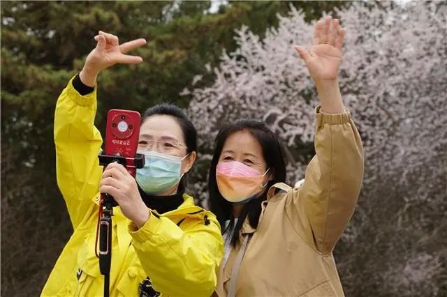 惊爆！公主府公园桃花盛花期竟有这般惠民演出？  第6张