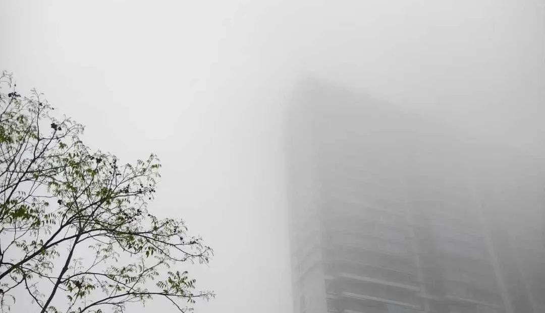 浙江气温飙升30℃！羽绒服未收短袖已上岗，夏天提前到来了吗？  第11张