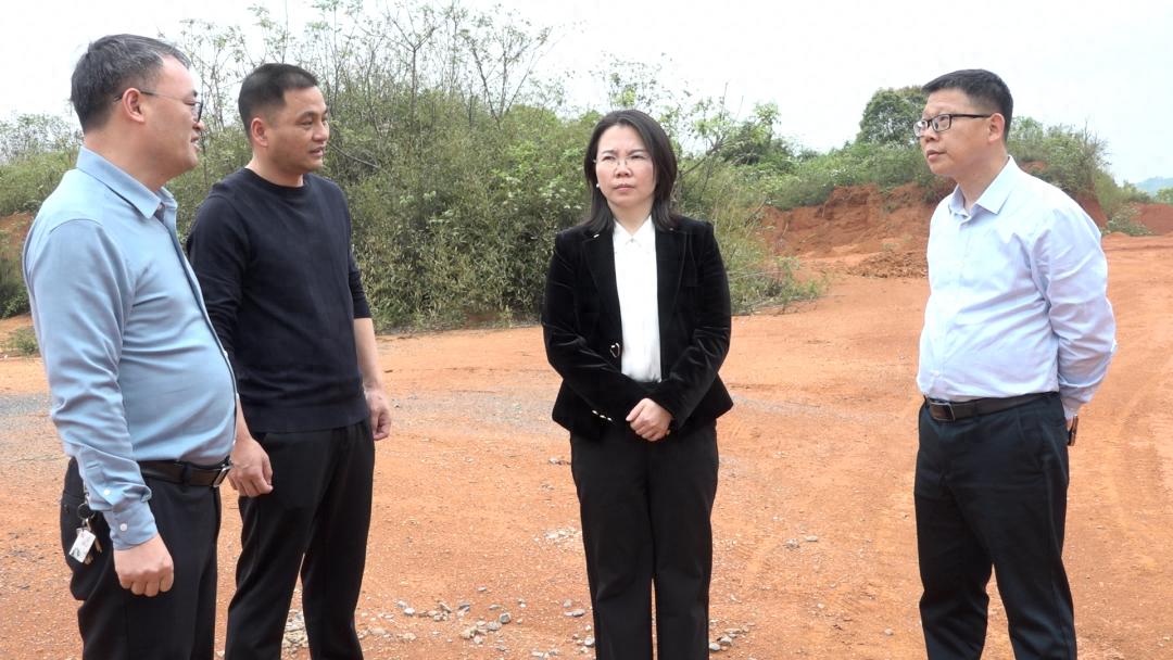 神农药都军山园项目进展如何？县长樊未现场调研给出关键指示  第1张