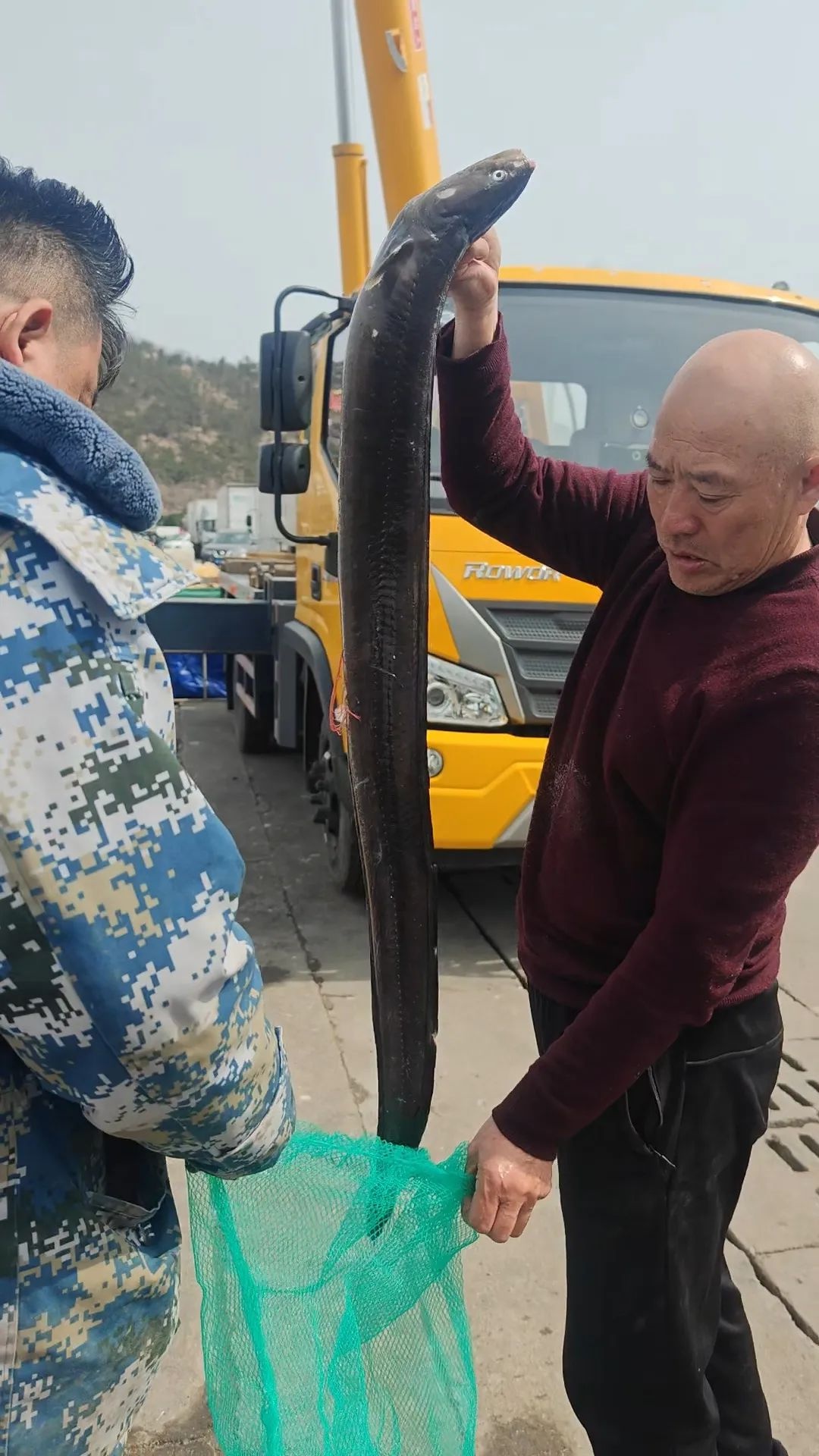 春潮海味鲜！想知道崂山海鲜市场的忙碌景象吗?  第4张
