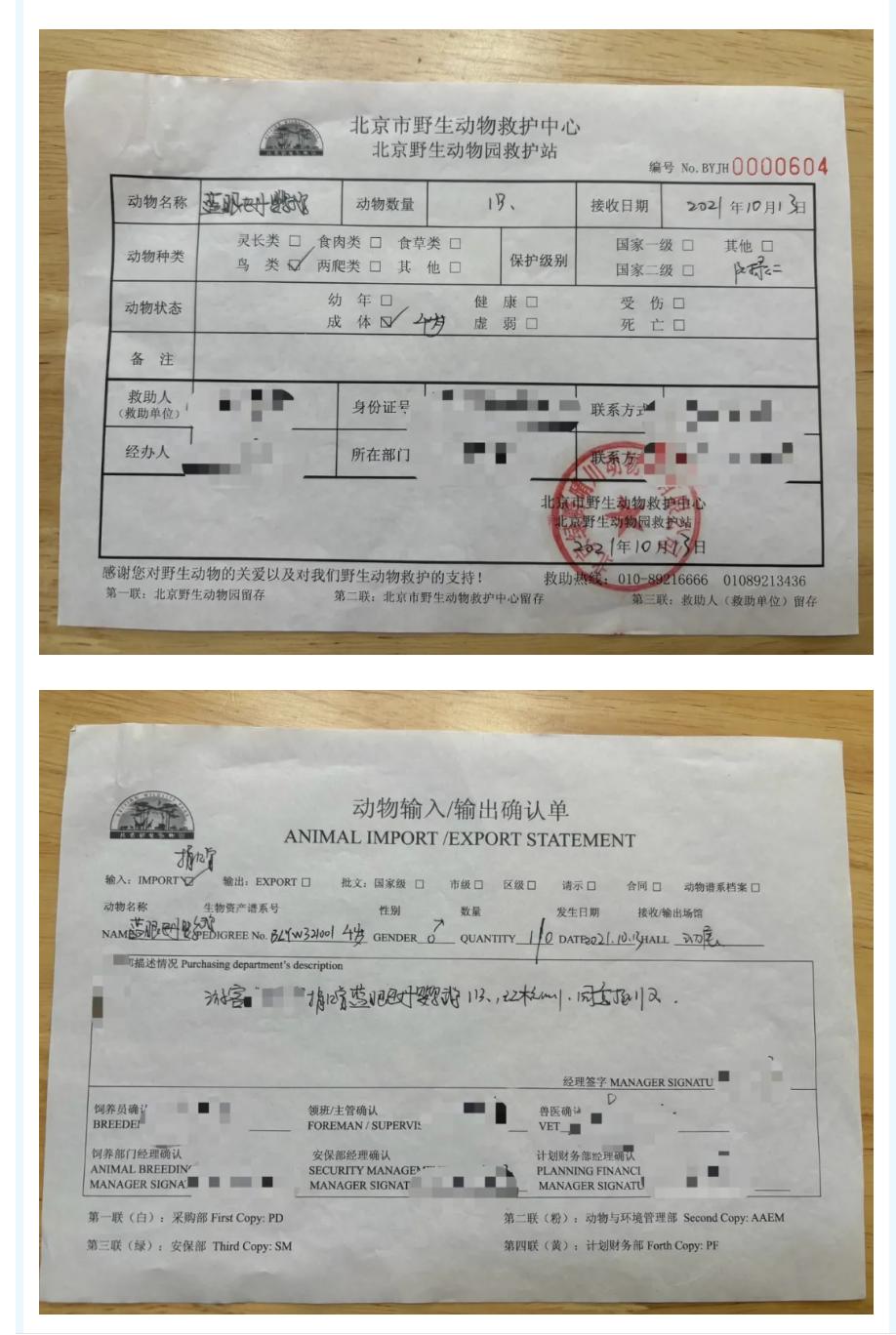 北京野生动物园鹦鹉传言不实？真相是这样  第2张