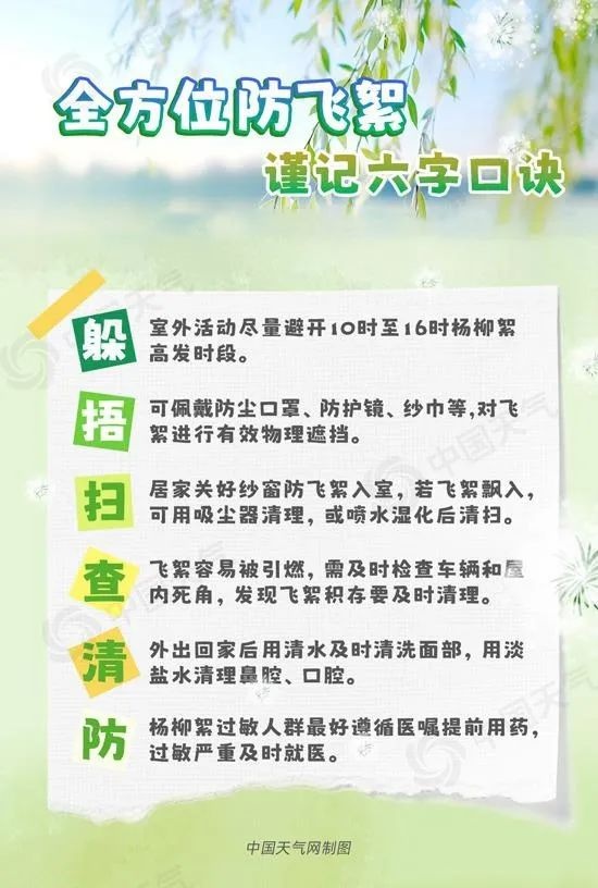 宁波热出新高度还飘絮！飘絮对人有害？为何种产生飘絮的树？  第4张