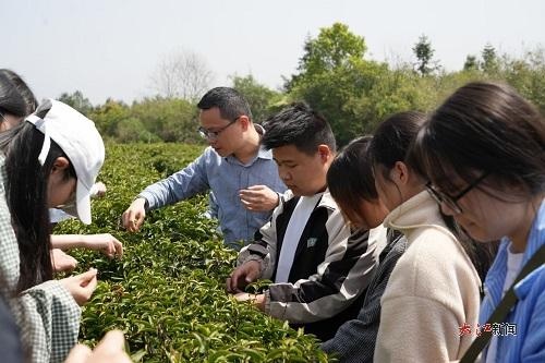 江西旅游商贸学院调研宁红！如何助力乡村振兴？  第2张