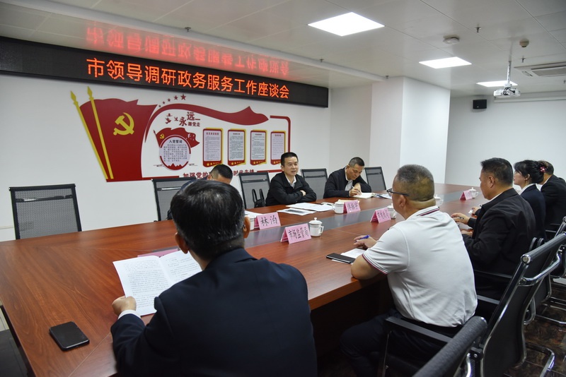 罗定市长、局长进窗口亲身体验!营商环境将如何大幅改善?  第3张