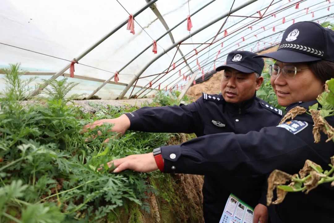 万荣县派出所禁毒大行动！看他们如何踏查宣传？  第2张