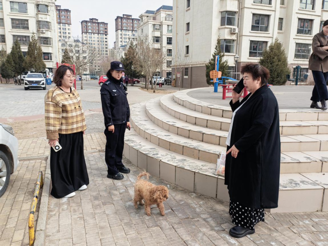 达旗公安局锡尼街派出所便民服务太给力！在家门口就能办犬证，你还在等什么？  第2张