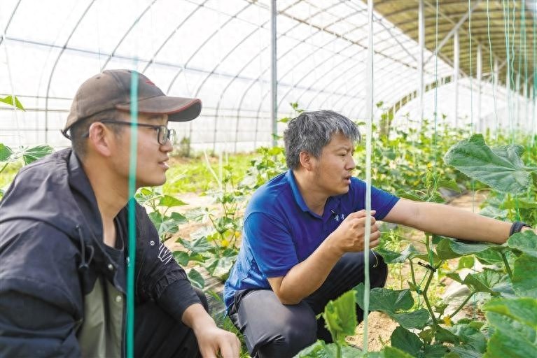 40岁白发苍苍回乡耕耘10年！有机农园凭啥吸引众多年轻人？
