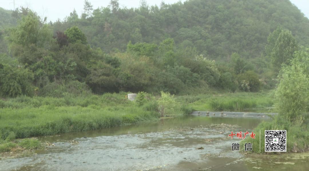 十堰犟河流域污水主管网更新改造，今年底能完工？何时能彻底改善水质  第2张