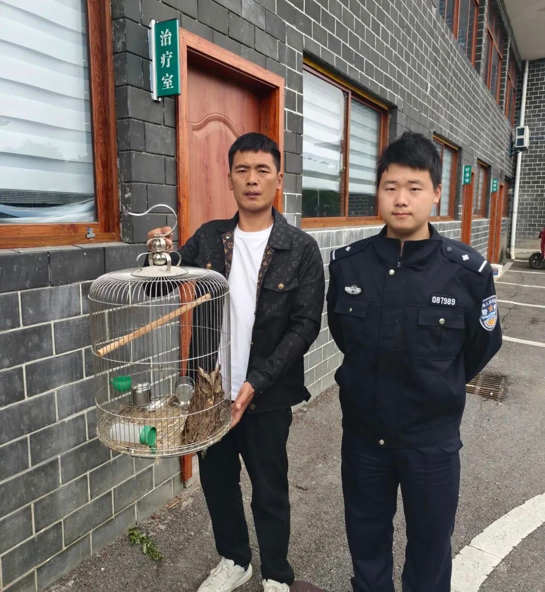 紧急！通山民警20分钟拯救受伤猫头鹰，咋做到的？  第2张