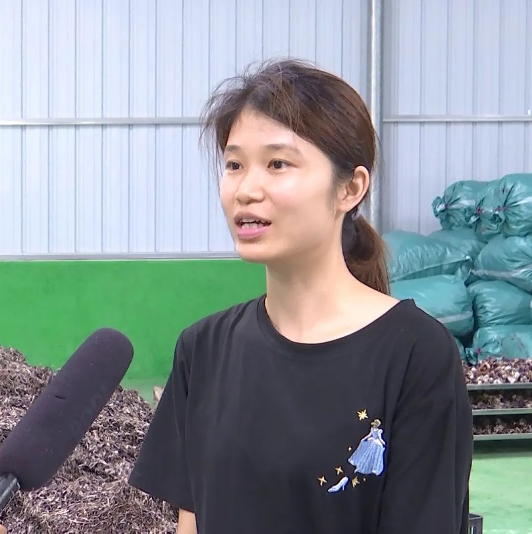 木耳丰收季！南宁龙华食用菌基地的采摘盛景有多震撼？  第3张