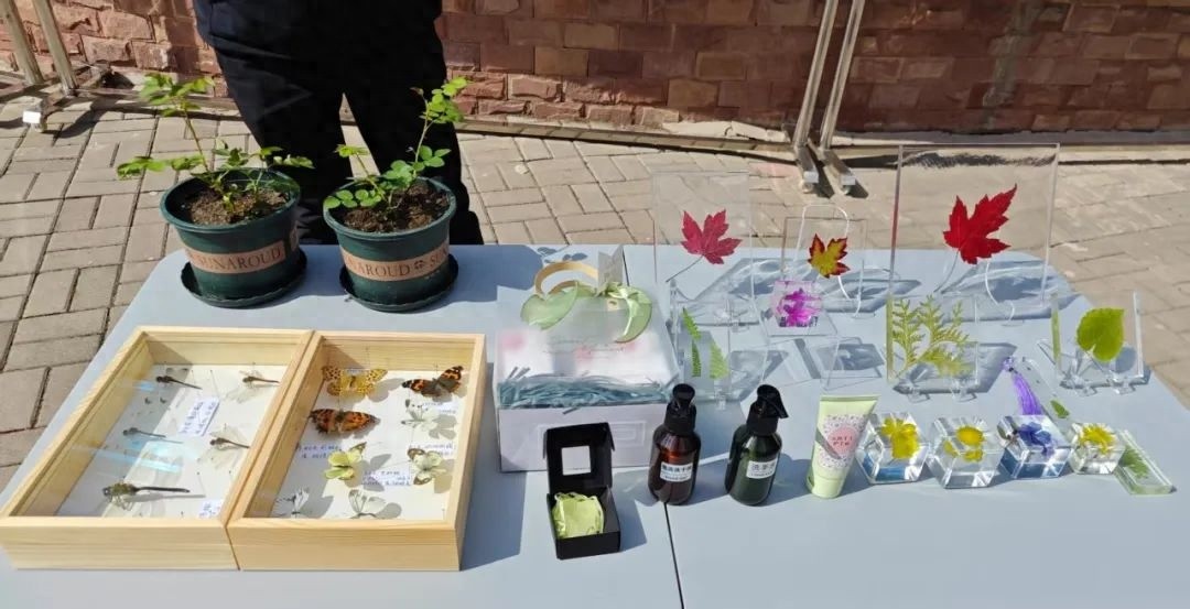 耐寒月季、优良椴树等科研突破成果展！你看过吗？