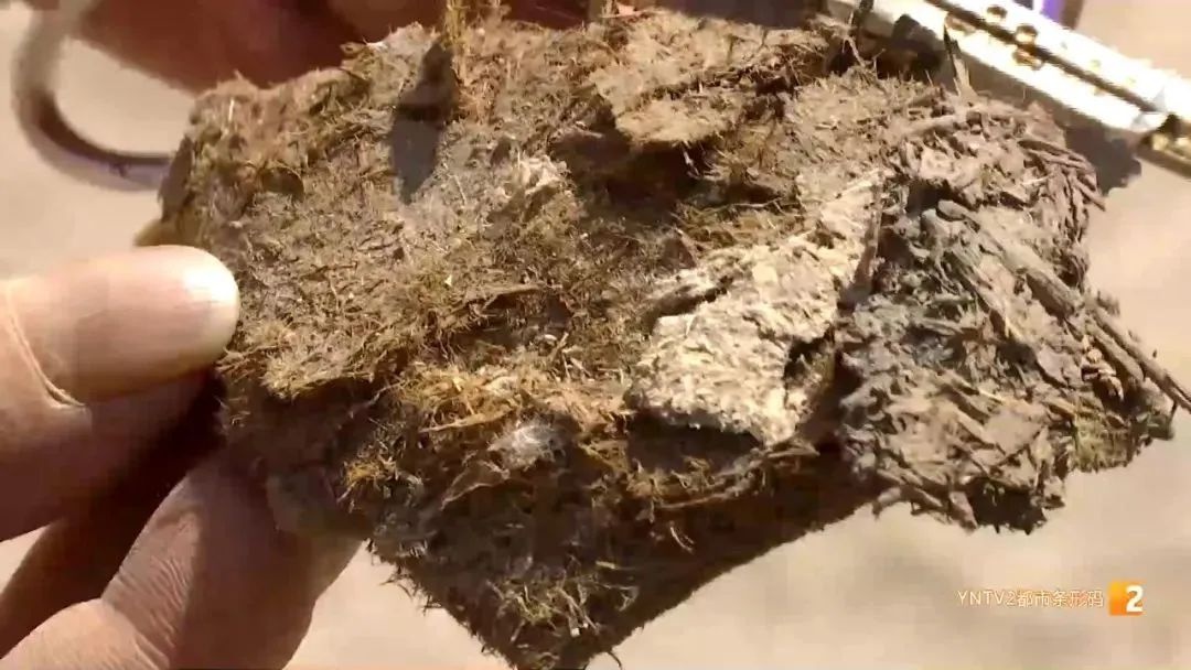 昆明一家具厂附近现不明絮状物！飘浮空中还让人发痒？啥东西？  第2张
