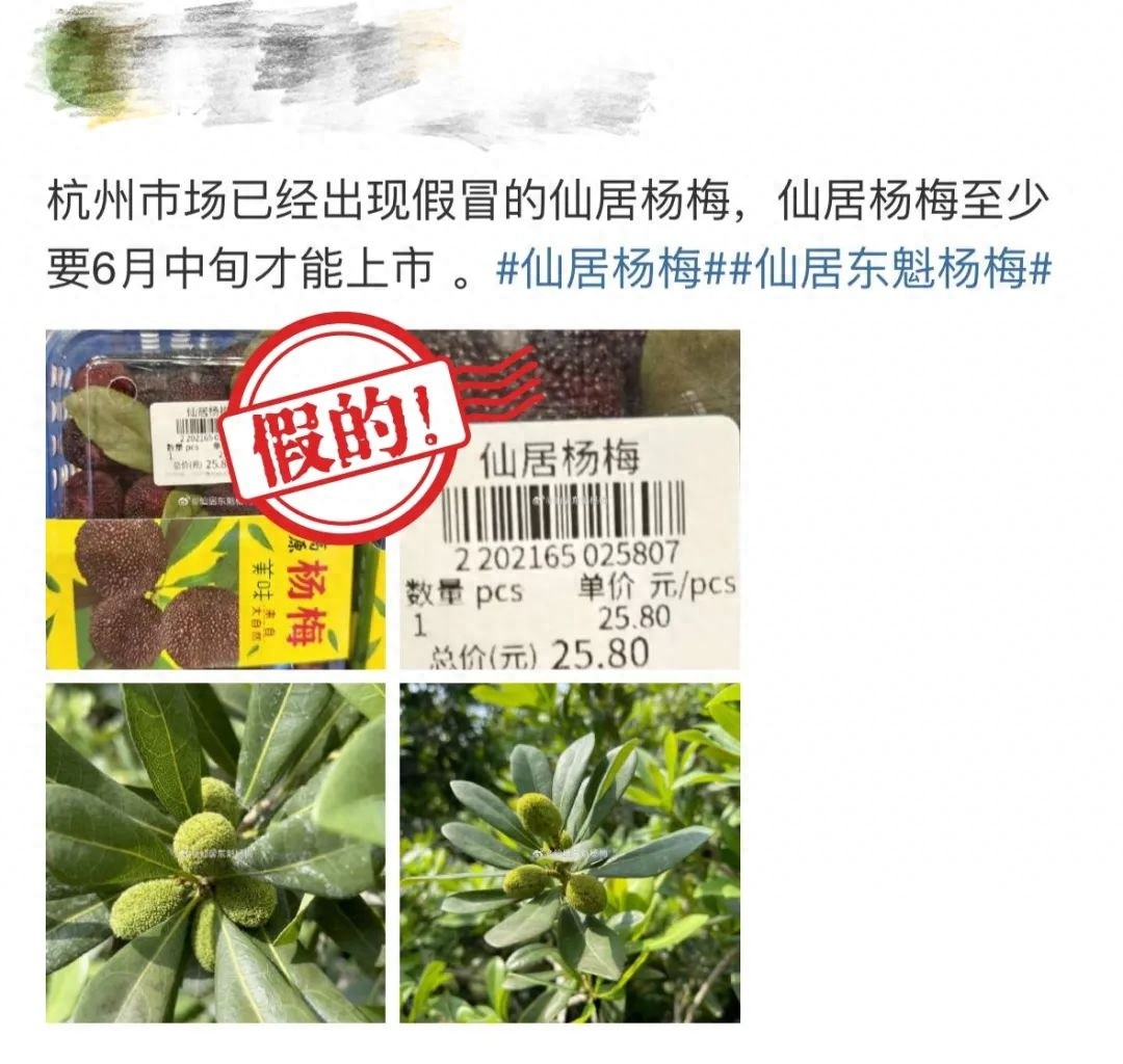 火速出击！仙居杨梅刚硬核期竟有鲜果上市？背后真相惊人