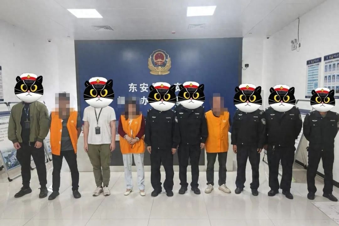 东安公安一打二防三整治！跨区域盗窃家禽案如何侦破的？