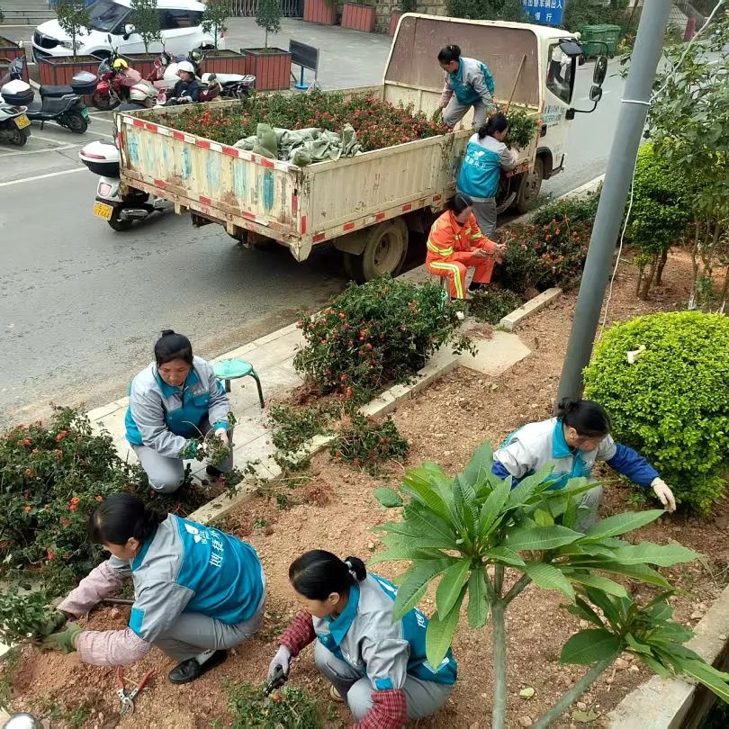 五一墨江双胞胎节狂欢背后！是谁在默默守护城市的整洁与绿意？  第9张