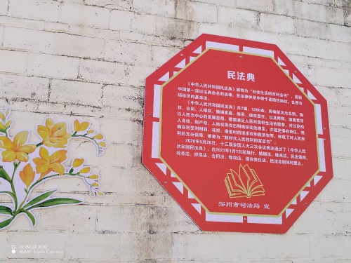 民法典宣传月！深州两村建法治文化街，在家门口就能学法？真棒  第4张