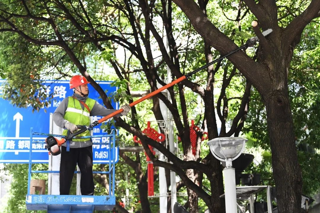 第15个519中国旅游日将至，南明区如何扮靓城市？  第6张