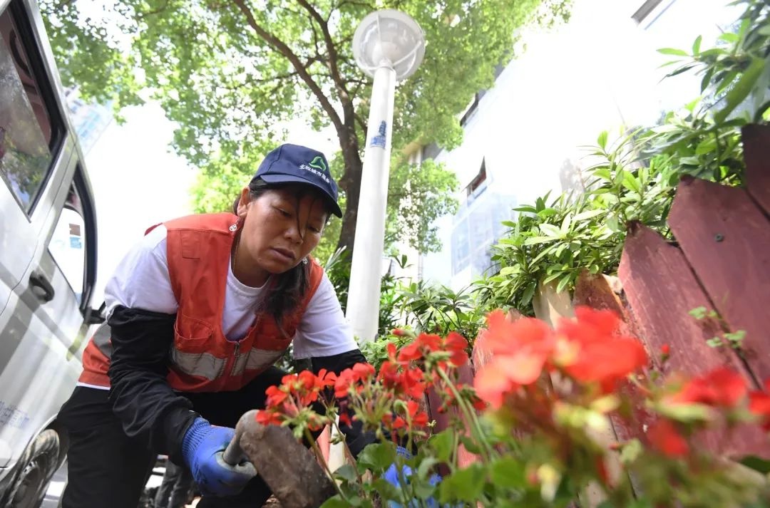 第15个519中国旅游日将至，南明区如何扮靓城市？  第8张