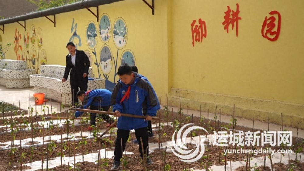 临晋小学如何成为乡村教育的典范？揭秘其独特的教育模式