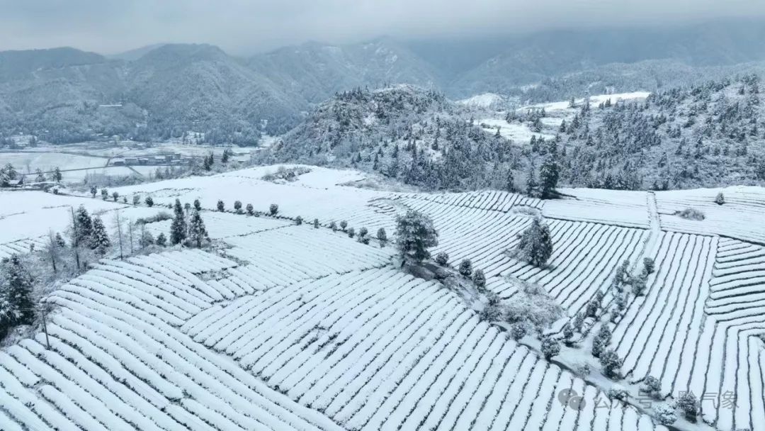贵州32县市气温跌破0℃，威宁-3.3℃！你准备好迎接寒冬了吗？  第8张