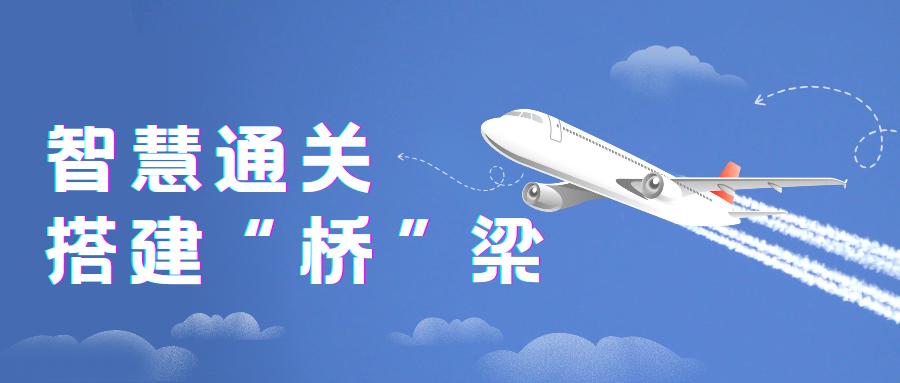 大理海关如何通过实战演练和科学规划，确保机场口岸高效畅通？  第13张