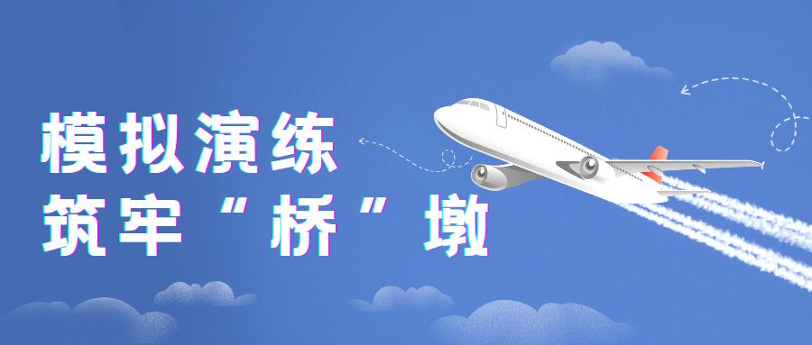 大理海关如何通过实战演练和科学规划，确保机场口岸高效畅通？  第9张