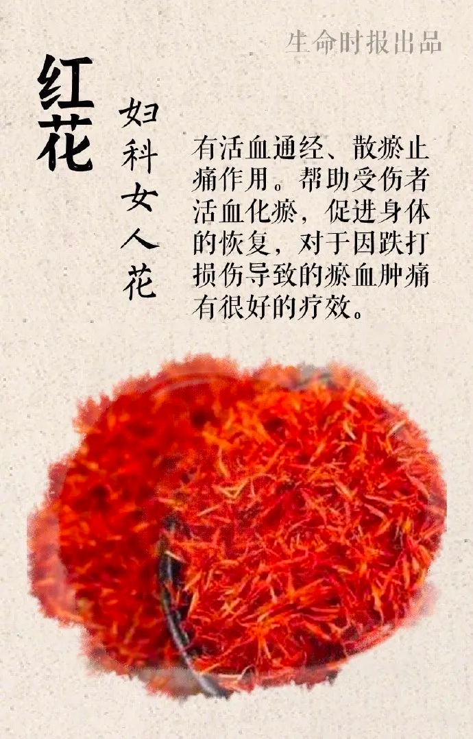 申公豹的药单藏着什么秘密？打工人也能用的10味中药大揭秘  第5张