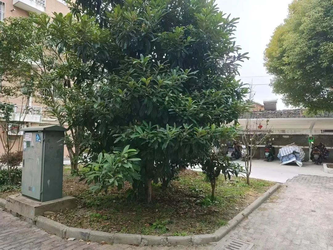 老旧小区停车难？鹏欣丽都西区如何破解居民停车困局  第3张