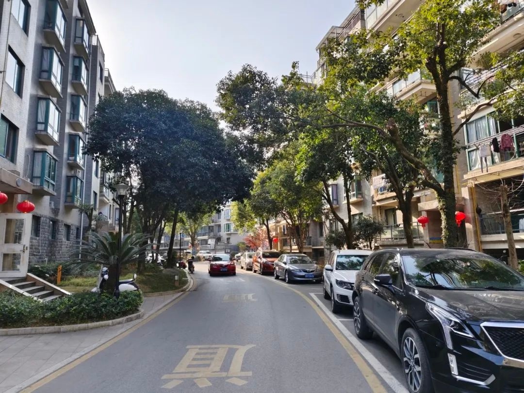 告别扛罐20年，天然气进小区竟能省下30%费用！你还在等什么？  第4张