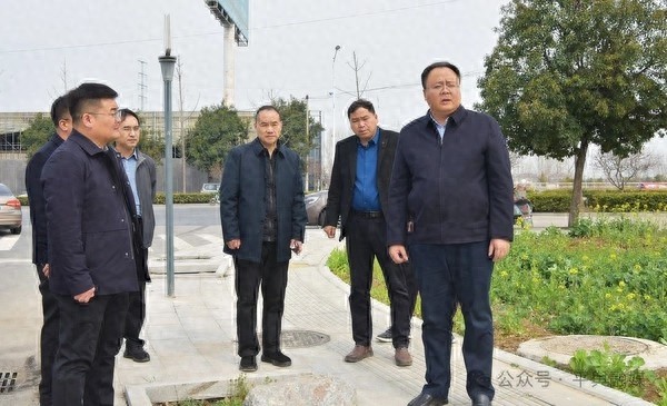 城市绿化问题频发，李磊县长现场调研，这些问题你注意到了吗？  第1张