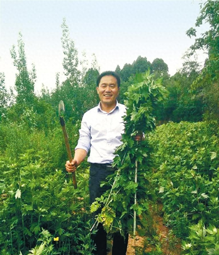 年薪几十万不要了？茹远江为何选择回乡当农民，背后的故事让人惊叹
