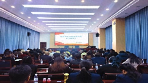 广南县税务局如何用税惠政策助力乡村振兴？揭秘春耕时节的贴心服务